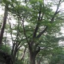 윤창암 - 1413 | 윤창암