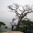 여우향기 - 전주시 완산구 홍산남로 47 | 여우향기