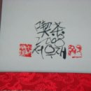 다도화