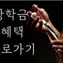 감이좋아헤어