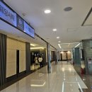 아모르 몽 | 서울 신도림 웨딩시티 웨딩홀 투어 후기(26년 1월 견적 공유O)