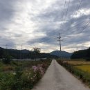 남원식자재마트 이미지