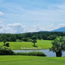 TOP스크린골프연습장 이미지