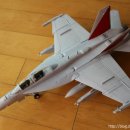 미공군 전투기 EA-18G VAQ-129 Vikings (Scale 1/48) 제작기 (2) 이미지