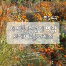 양지-3164 | [대구/서변동] 애견 동반 브런치 카페_로에베 플로레스 솔직후기