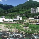 차문화(차와 문화) 이미지