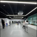 SY 주짓수&복싱 이미지