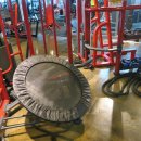 와우휘트니스 이미지