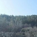 복산가축 티스토리