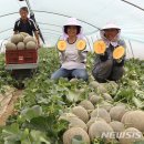 가야농협 산지유통센터 이미지