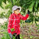 성실농장 이미지