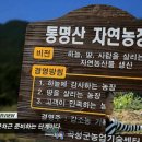 구현농장 이미지