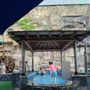 백자산목욕탕 이미지