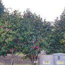 국립김해박물관 화장실앞 이미지