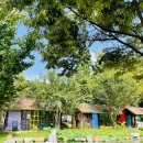 후다닭농장 | 충주 햇살아래캠핑장 수영장 동물농장 팬션도 있어서 유아동반으로 완전 강추