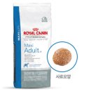 청담동물병원 이미지