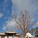 주곡리 장승제 | 논산 여행지 추천 주곡리 백일헌 종택 설경