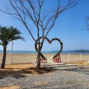 57 | 태안 신두57 캠핑장 후기-노을 맛집에서 푸짐하게 즐긴 언니들과의 첫 여행