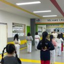 세종 효 태권도 이미지