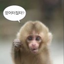 이일기