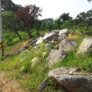 고골농장 이미지