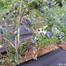 재룡농장 이미지