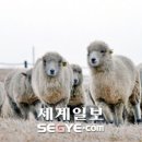 이제원 목장 이미지