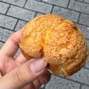 슈크림Y