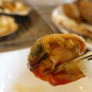 뽀뽀애견 이미지