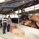 안나축산 이미지