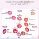 유로틴트