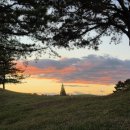 장산고향손두부 이미지