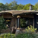 박터진흥부네 이미지