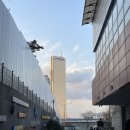 11590-다18 | 국가직 시험 전 노량진 일상, 잇츠리얼타임 장기이용자 후기