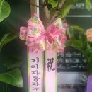한사랑 | 🍀 한사랑플라워 후기 │ 지인의 고기집 오픈 축하화분 배송 후기