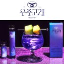 AstroWhale 이미지