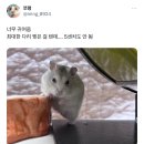 또또또 미뤄뒀던 겨울~봄 일기(니치니치커피샵, 삼대도매횟집, 일월육일, 동래 사생활, 사이먼커피)