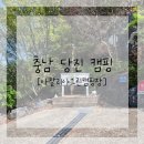 그린 낚시터 | 25. 04. 19 ~ 04. 20 3달 만에 출발한 캠핑-! [당진 아잘리아그린 캠핑장 F36]