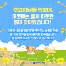 주식회사 맘팜