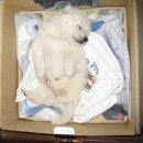 하나헬스 이미지