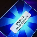 마카모여