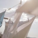 고려세탁 이미지