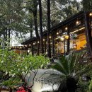 미주사 | 순천맛집 The 미주농원 120 닭코스요리 제대로 즐긴 후기