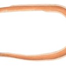 오리와 장어 이미지