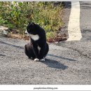 황청보건진료소 이미지