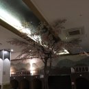 유림사우나