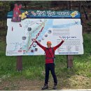 유채꽃길 이미지