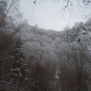 겨울 태백산 이미지