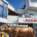 월정축산 Daum카페