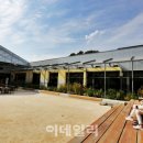 좌수영로 179번길 이데일리